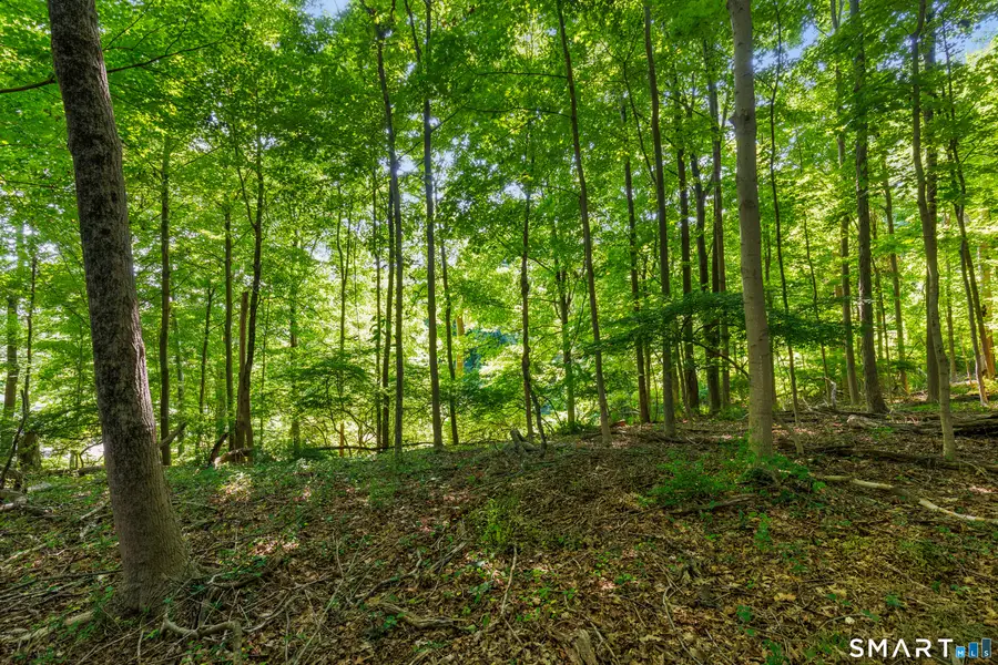 466 Weed Street, New Canaan, CT 06840 - #3