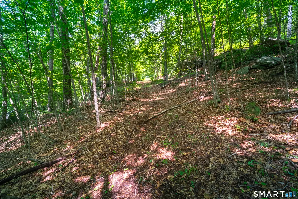 61 Silver Springs Drive, Higganum, CT 06441 - #1