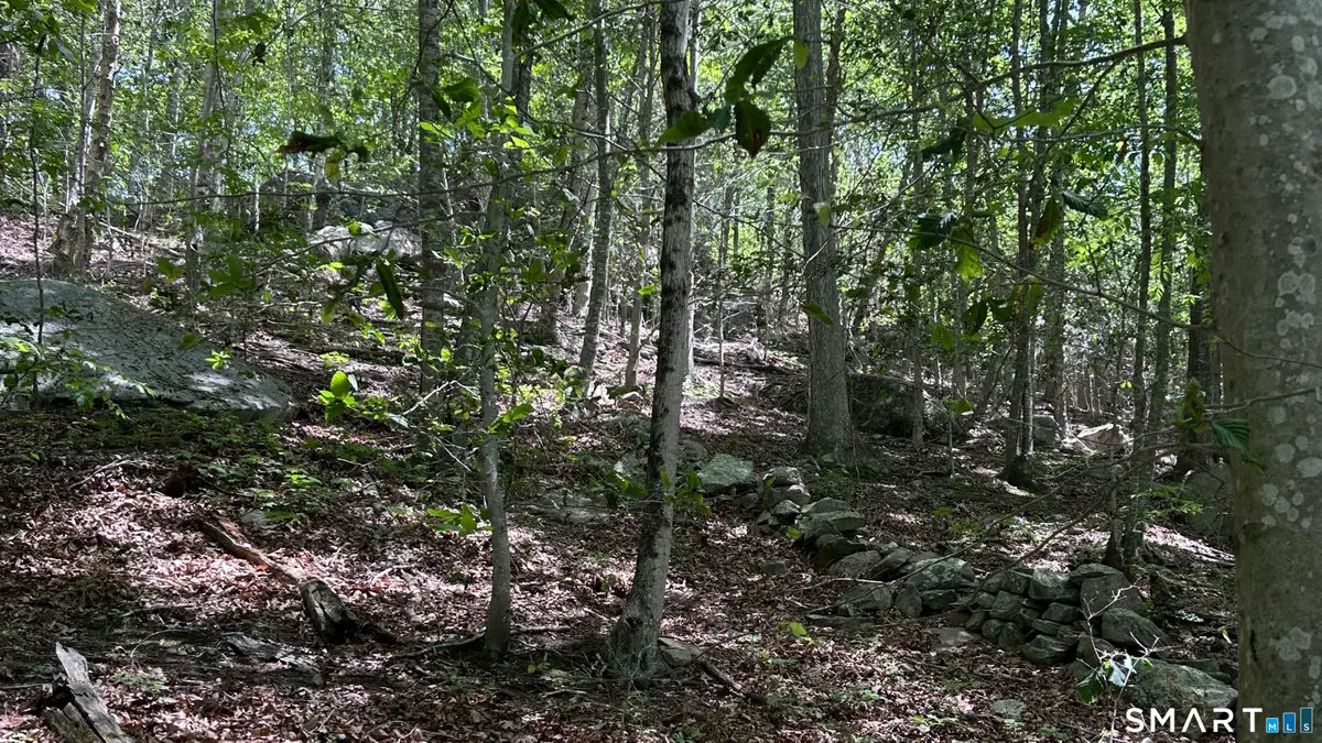 0 Norwich Salem Road, East Haddam, CT 06423 - #1