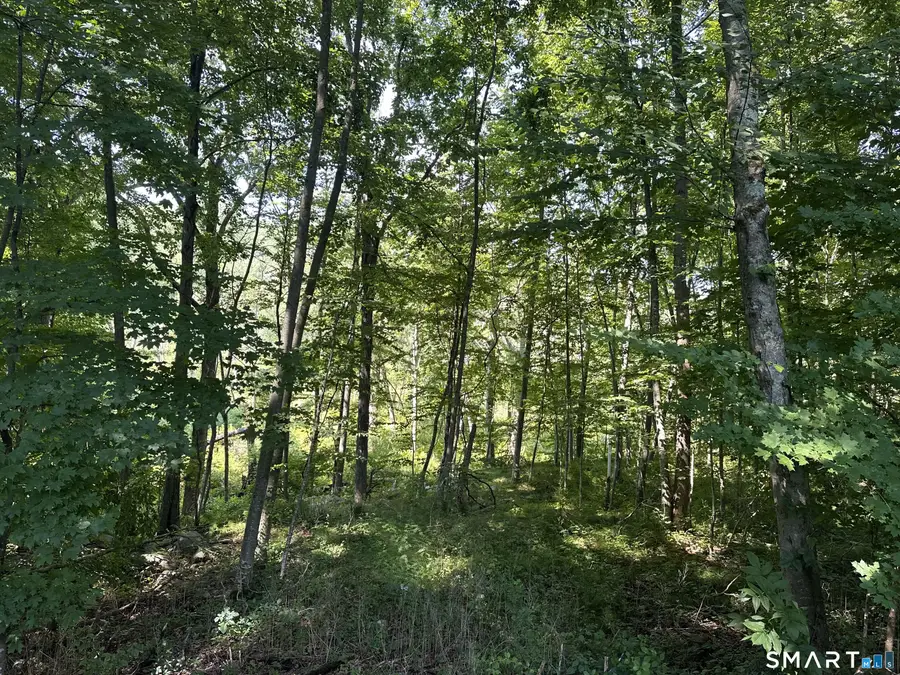 56 Hubbell Mountain Road, Sherman, CT 06784 - #2