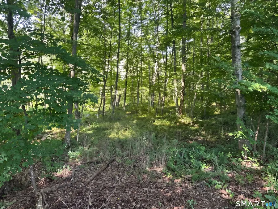 56 Hubbell Mountain Road, Sherman, CT 06784 - #3