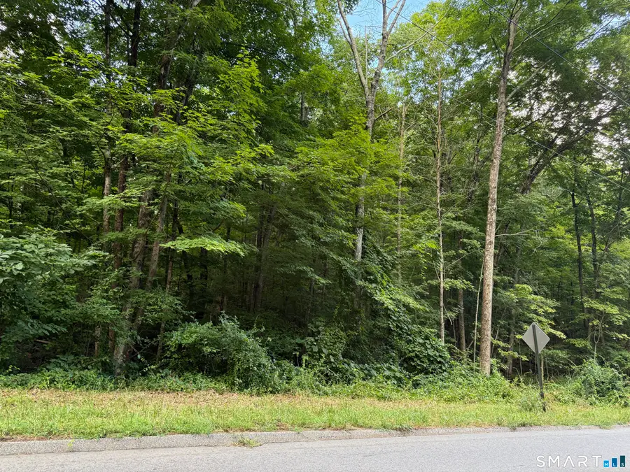 Gaulin Road, Columbia, CT 06237 - #2