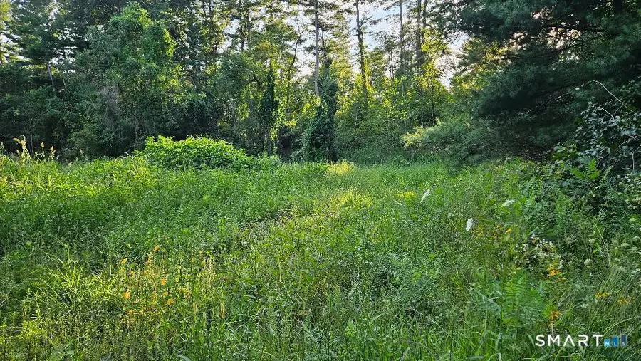 35 Blash Road, Quinebaug, CT 06255 - #2