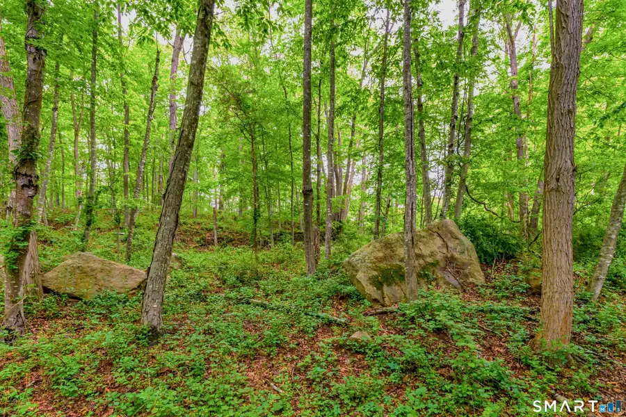 73 Long Hill Road, Deep River, CT 06417 - #3
