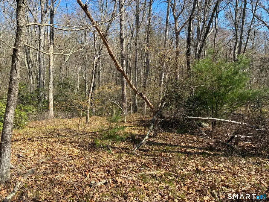 Madison Road, Durham, CT 06422 - #2