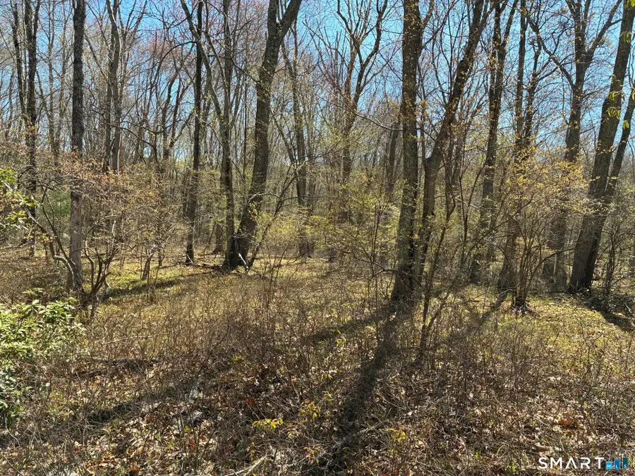 Madison Road, Durham, CT 06422 - #3