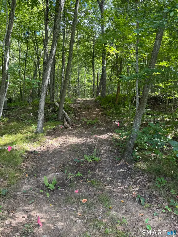 Tater Hill Road, East Haddam, CT 06423