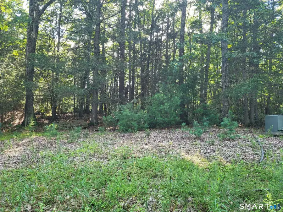 8-2 Tayler Trail, Woodstock, CT 06281 - #2