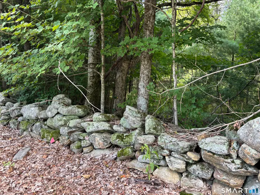Rindge Road, Union, CT 06076 - #2