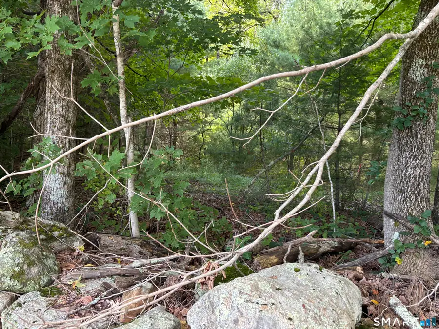 Rindge Road, Union, CT 06076 - #3