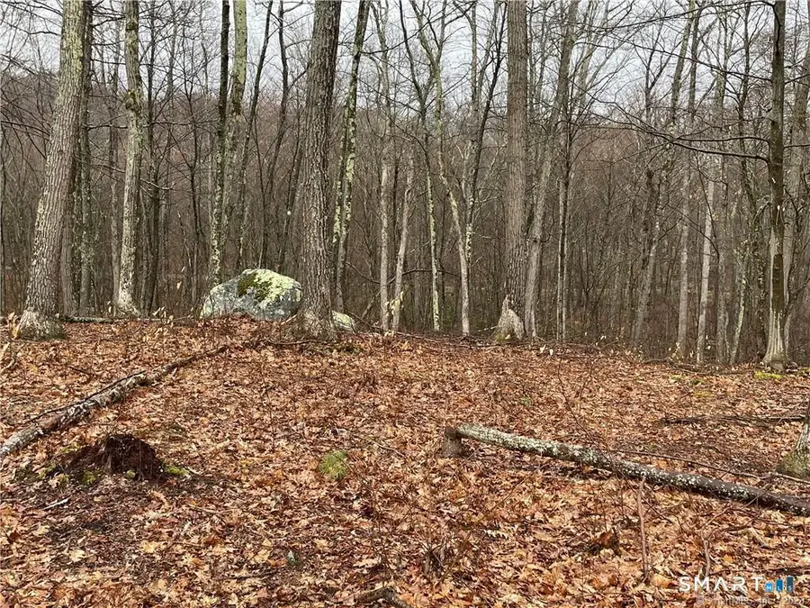 Westwoods Road #2, Sharon Town, CT 06757 - #2