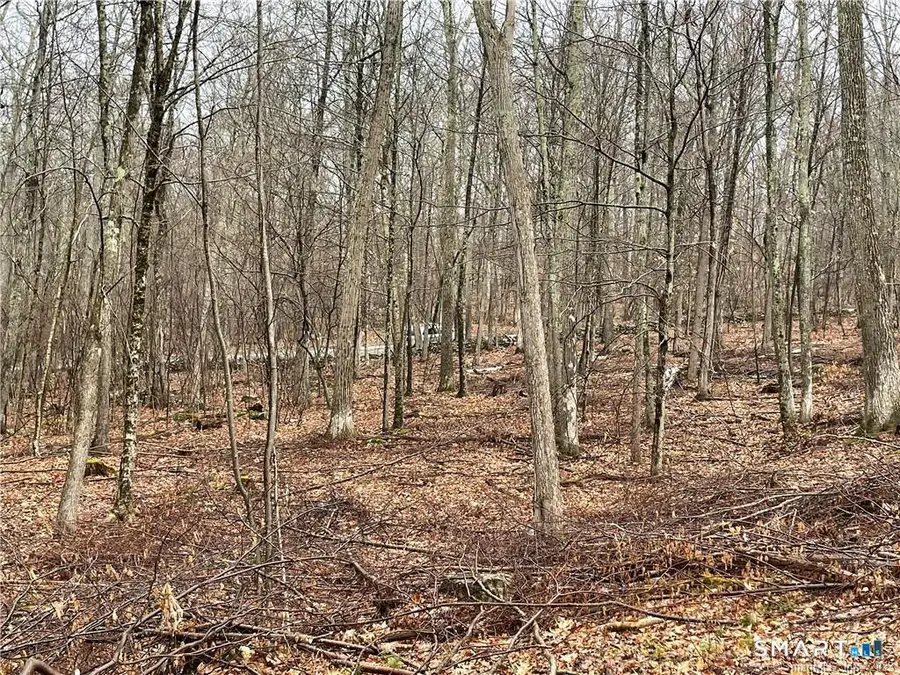 Westwoods Road #2, Sharon Town, CT 06757 - #3
