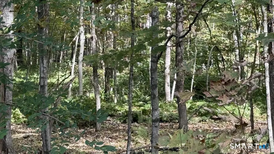 Old Colony Road, Eastford, CT 06242 - #3