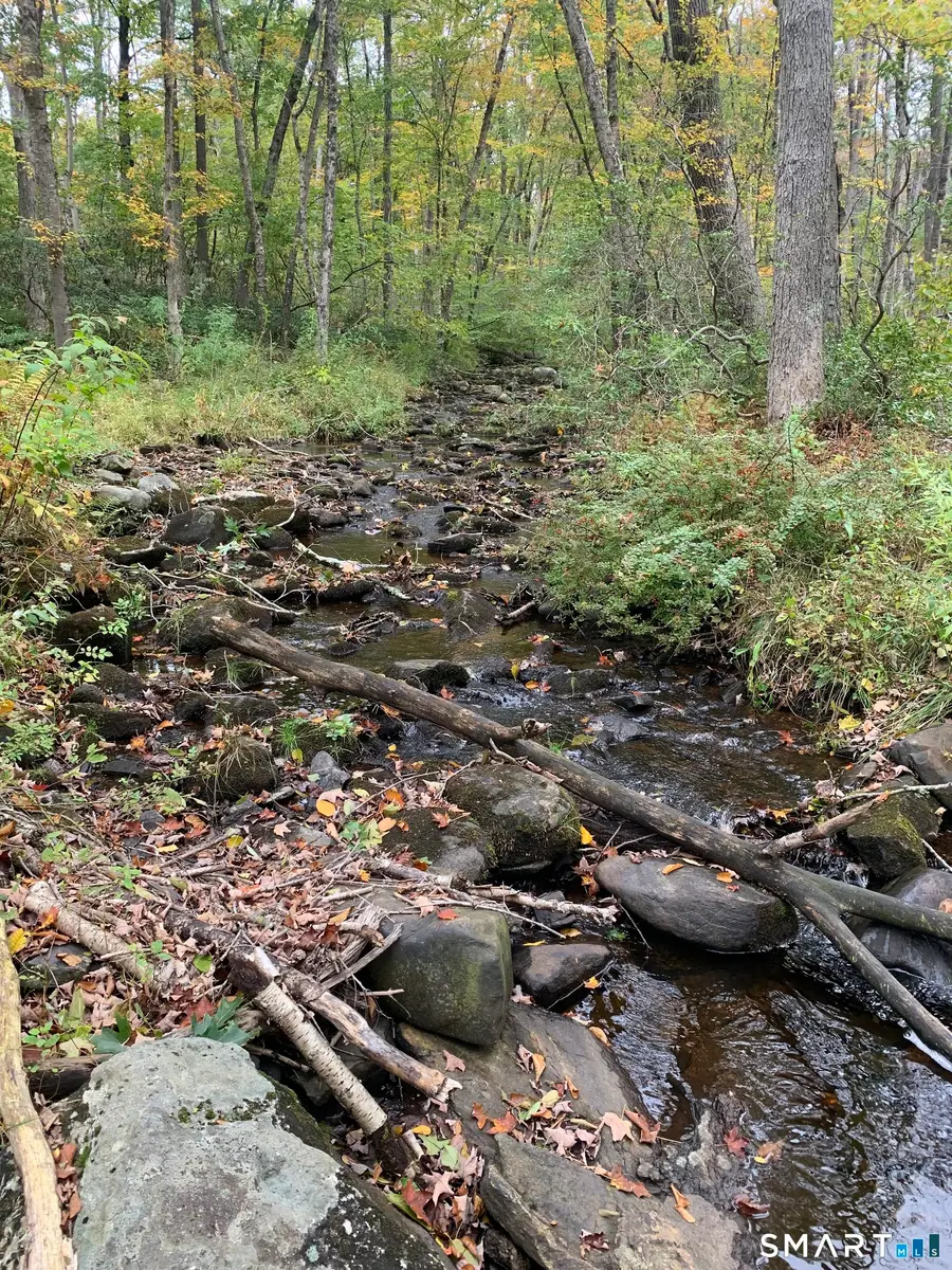 Potter School Road, Willington, CT 06279 - #2