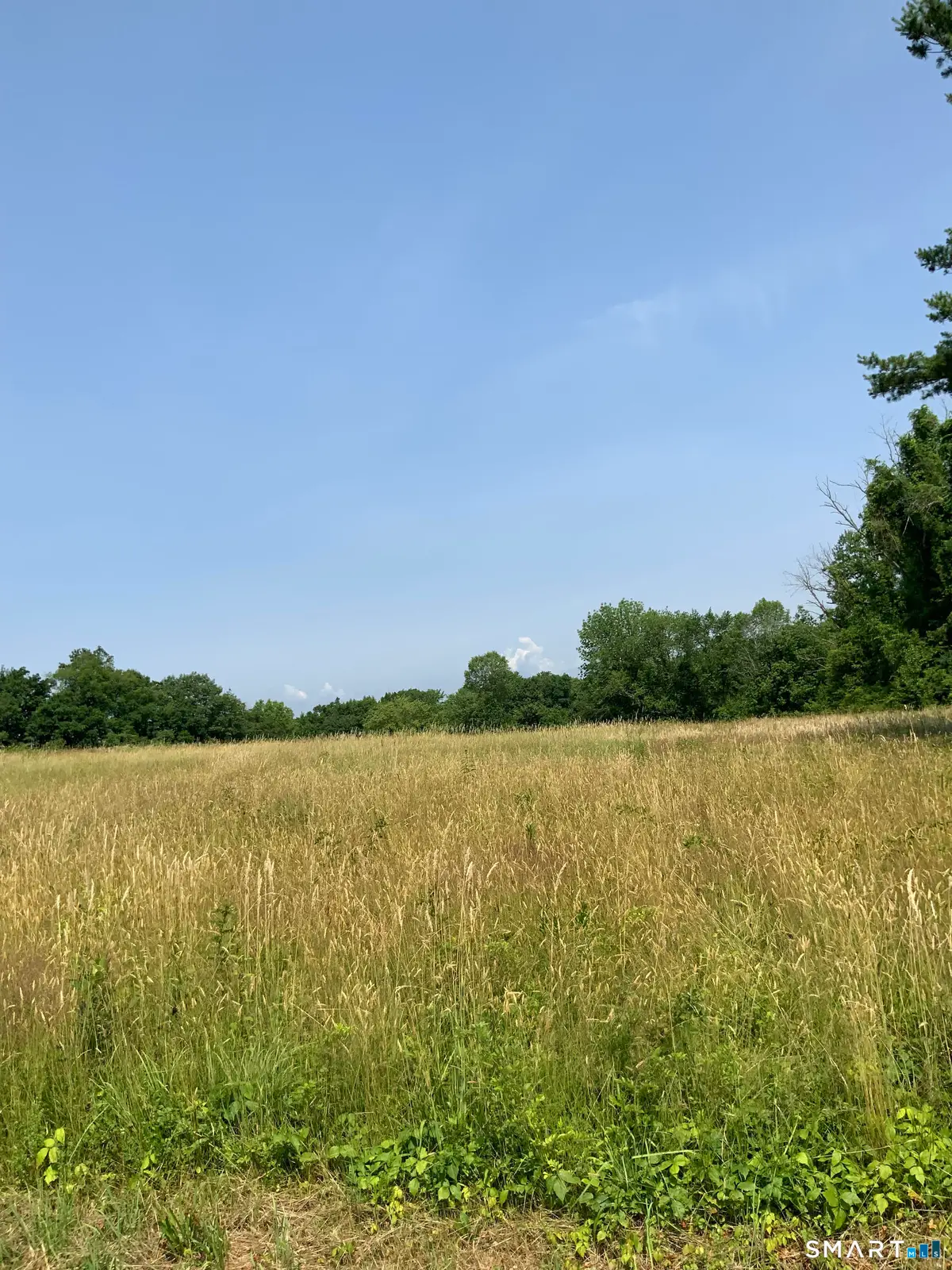174 Prospect Street, Suffield, CT 06078 - #1
