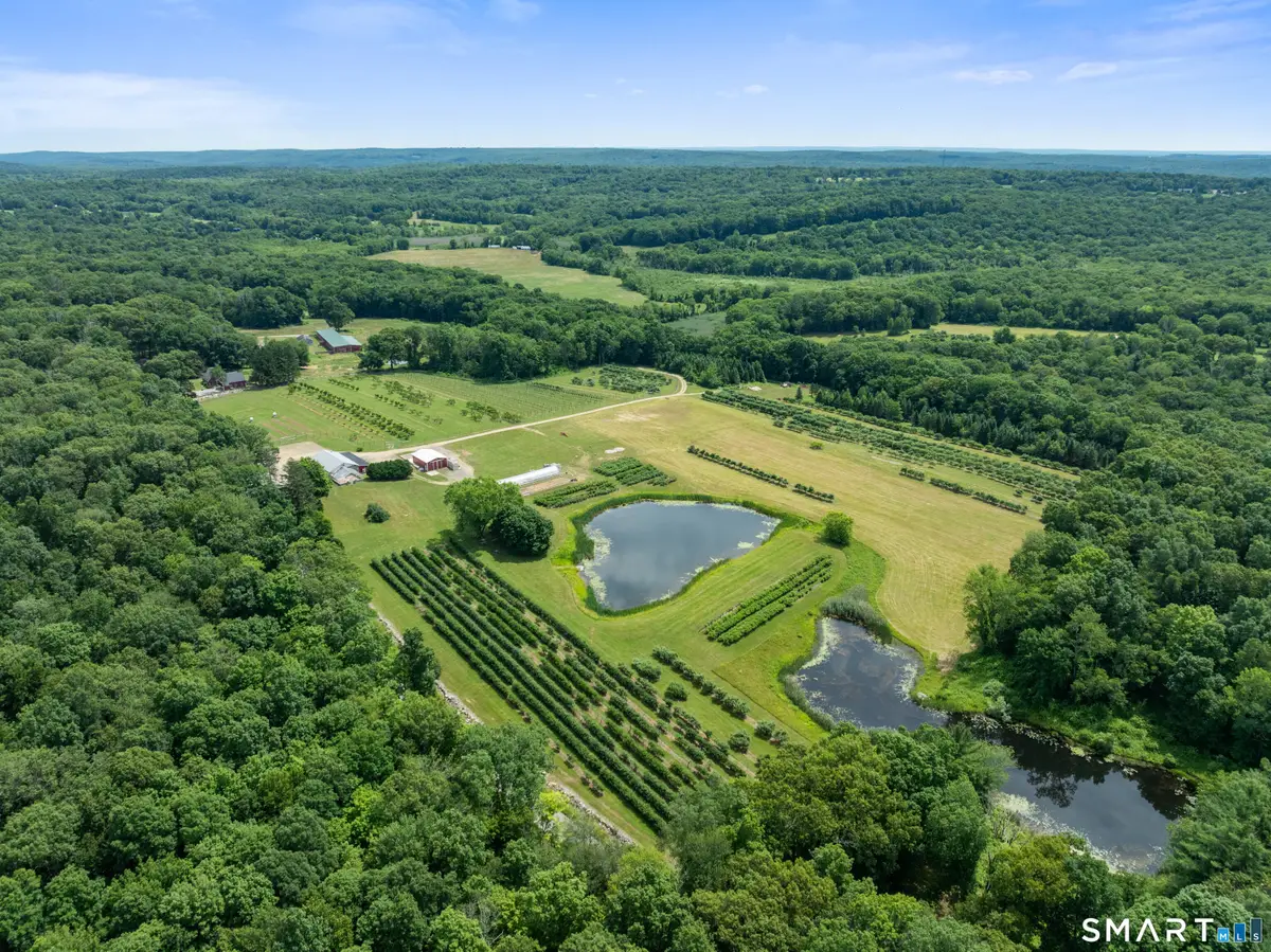 317 Bebbington Road, Ashford, CT 06278 - #1