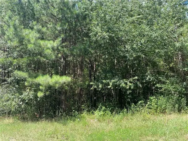 12 Vinnings Lane Sw, Cartersville, GA 30120