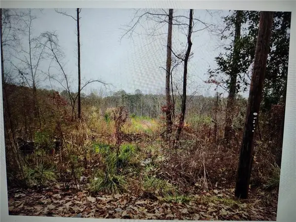 546100 Stonewall Tell, Atlanta, GA 30349