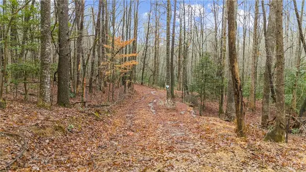 Lot 5 Still Rd, Dahlonega, GA 30533
