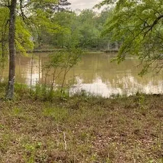 466 Twin Bridges Lot 4 Road, Eatonton, GA 31024 - Image #1