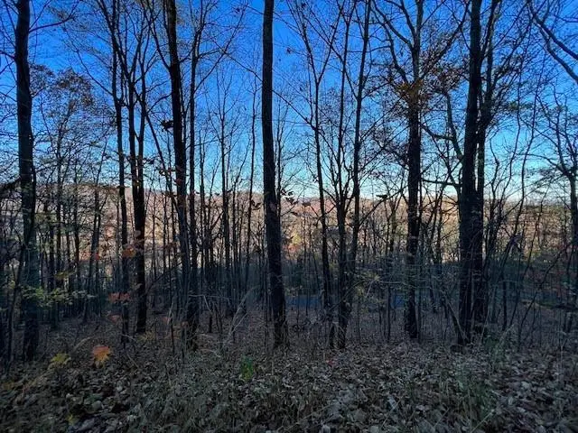 #3