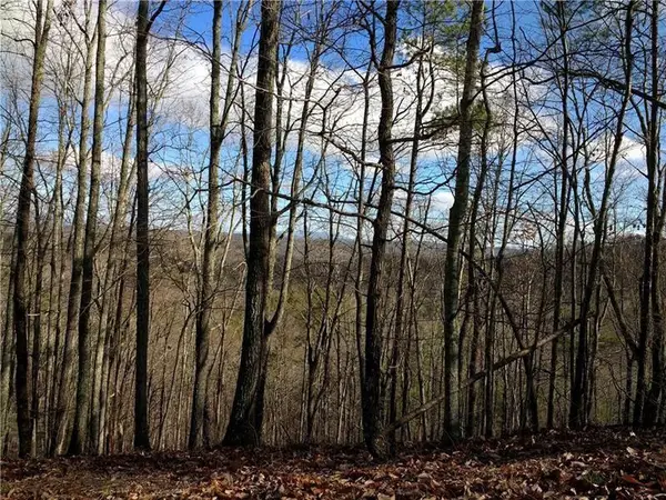 25 Adair Drive Ne, Ranger, GA 30734