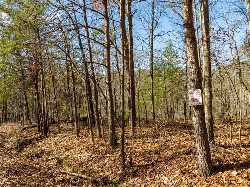 25 Adair Drive Ne, Ranger, GA 30734 - Image #2