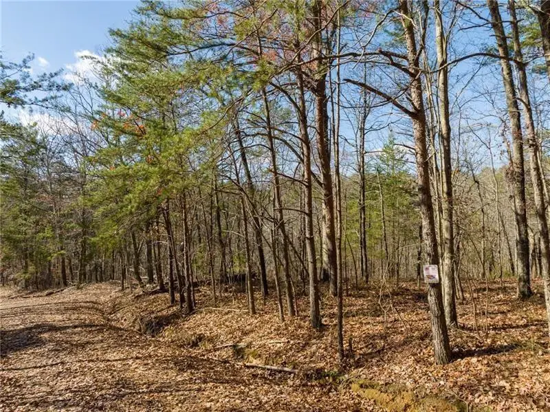 25 Adair Drive Ne, Ranger, GA 30734 - Image #3