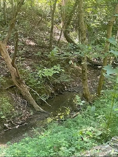 #2