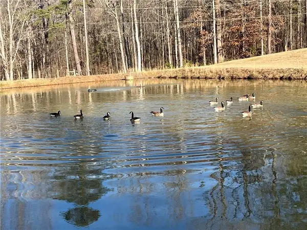 6225 Collins Road Nw, Acworth, GA 30101