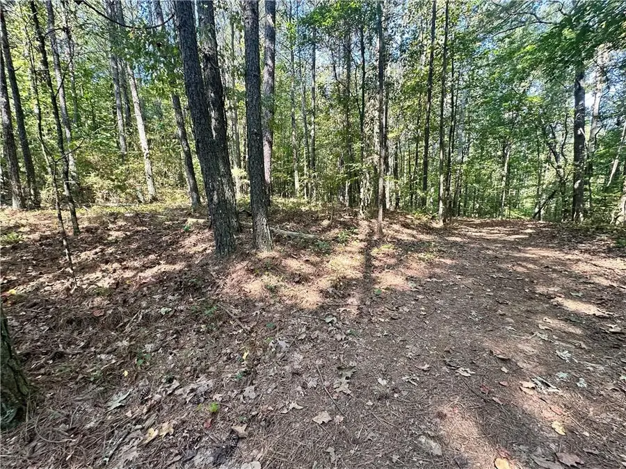 0 Frix Road, Cumming, GA 30028 - #3