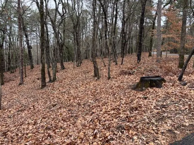 1023 Sparrows Nest, Big Canoe, GA 30143 - #2