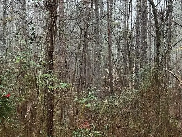 #3