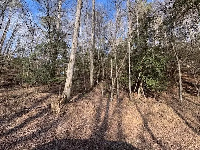 #3