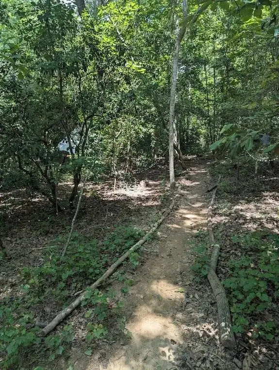 #2