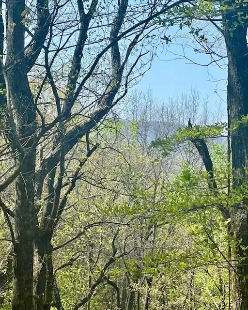 450 Wild Turkey Bluff, Jasper, GA 30143