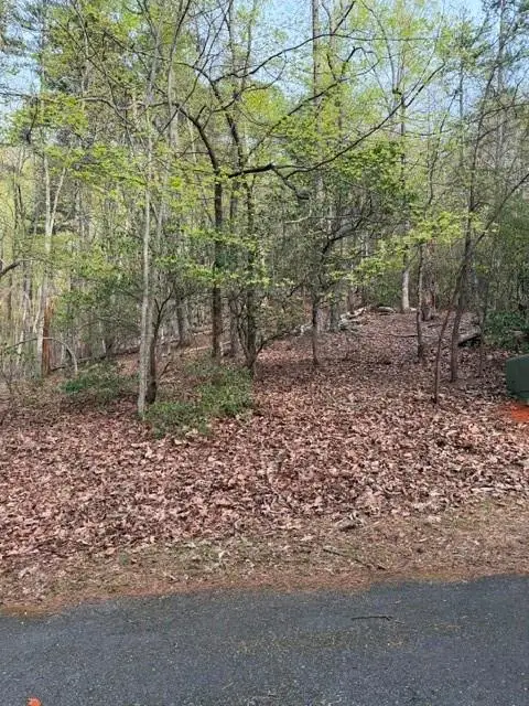 226 Crested Fern Lane, Big Canoe, GA 30143 - #2