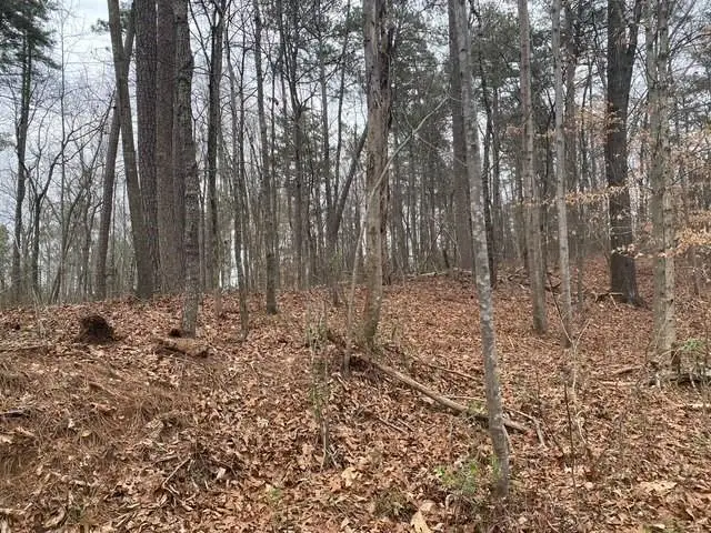 #3