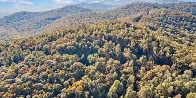 Lot 02 Upper Sassafras Parkway, Jasper, GA 30143 - #2