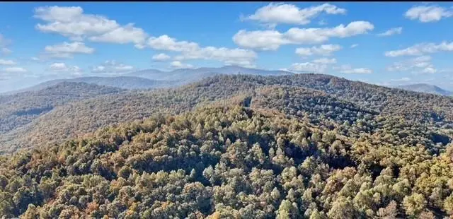 Lot 02 Upper Sassafras Parkway, Jasper, GA 30143 - #3