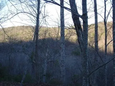 #3