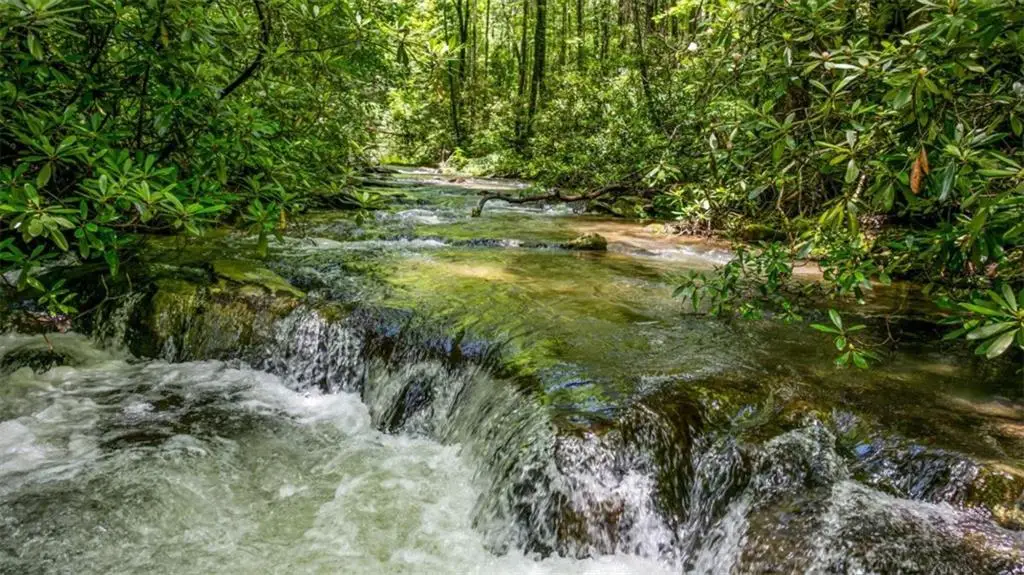 10323 Grassy Mountain Road, Ellijay, GA 30540 - #1