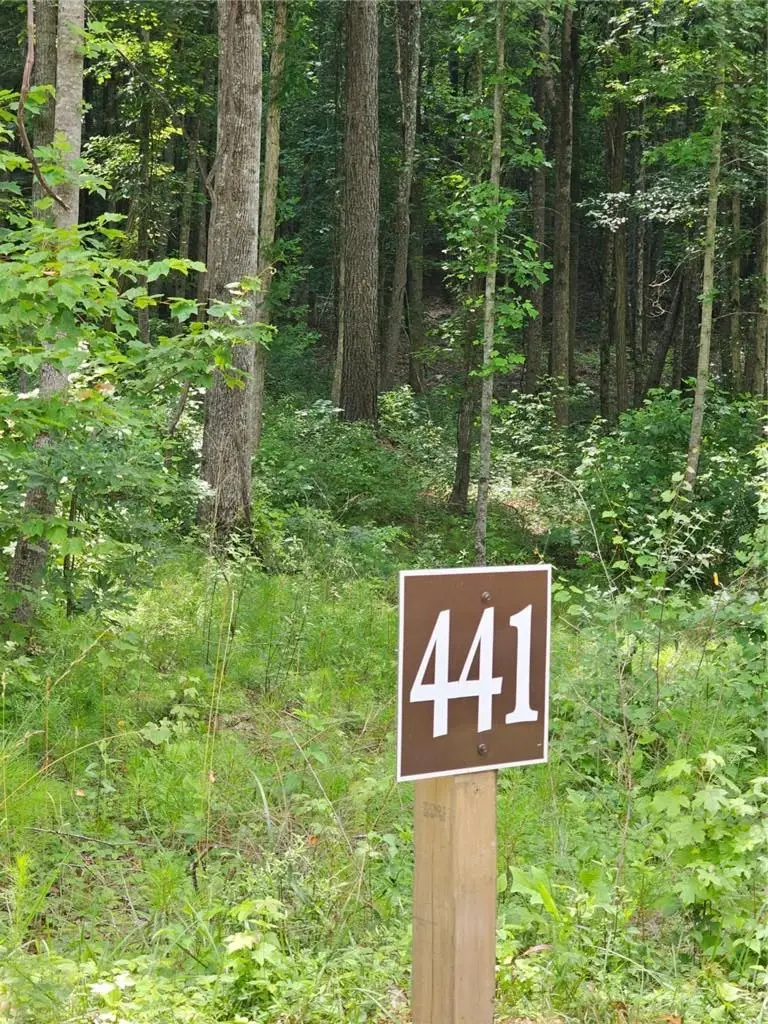 0 Twisted Oak Road, South Gilmer, GA 30536 - #1