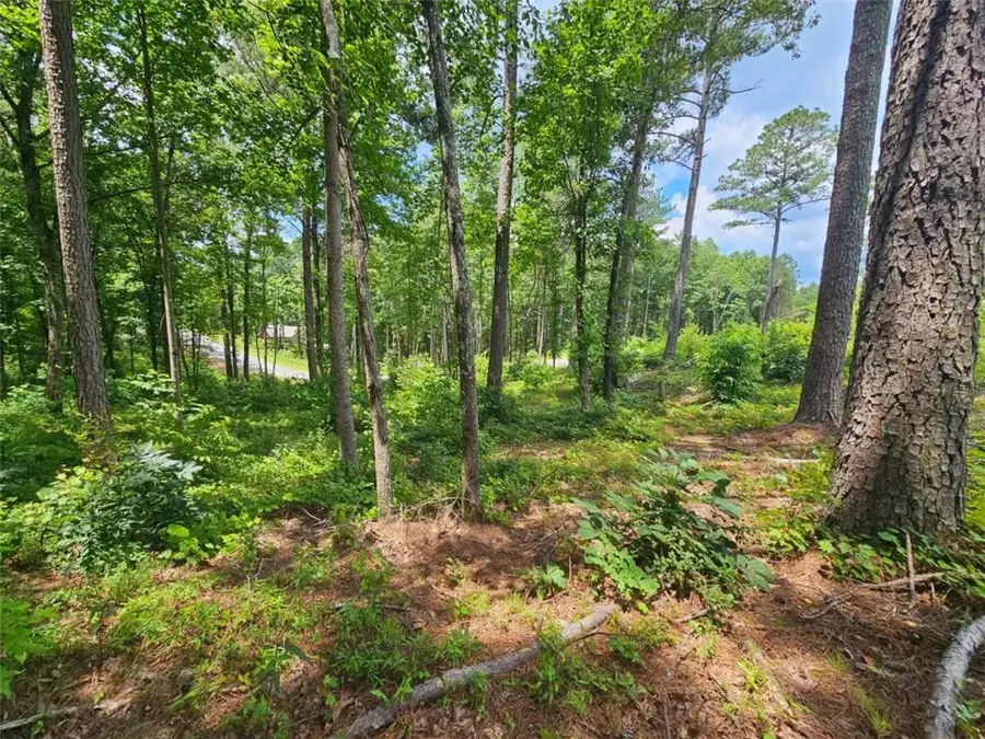 0 Twisted Oak Road, South Gilmer, GA 30536 - #3