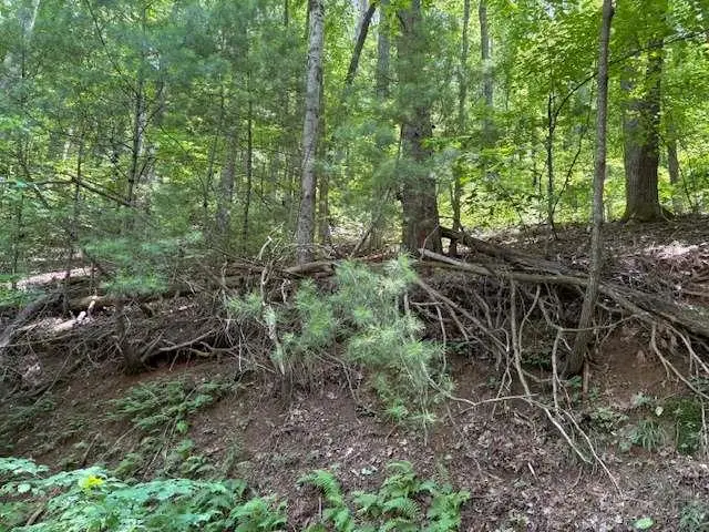 #3