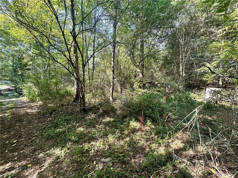 7330 Frix Road, Cumming, GA 30028 - Image #3