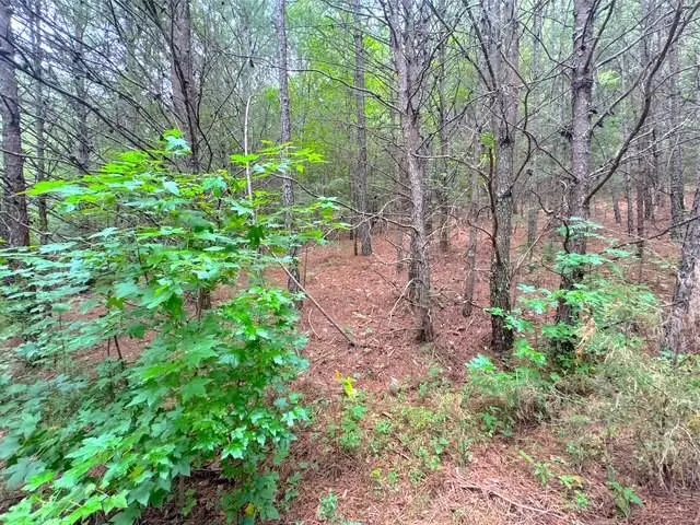 #2