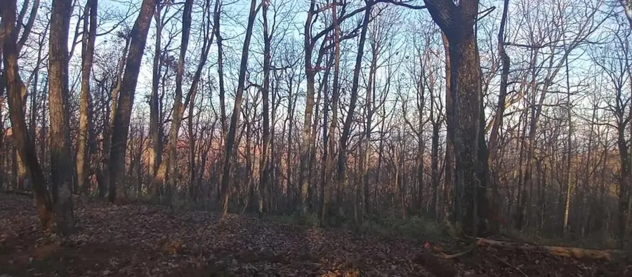 #3