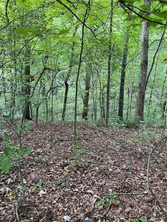 #3