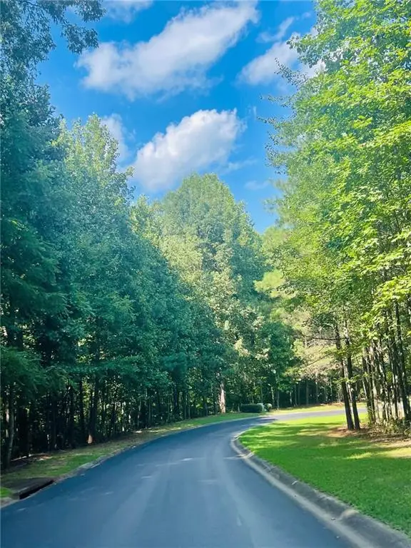 711 Hawks Ridge Drive, Ball Ground, GA 30107 - Image #1